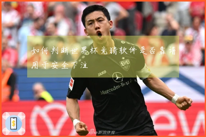 如何判断世界杯竞猜软件是否靠谱用于安全下注